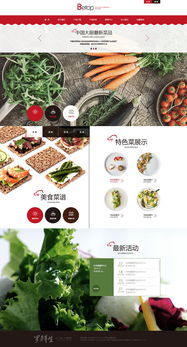 天津奔唐網(wǎng)絡 打造綠色養(yǎng)生食品官網(wǎng)的開發(fā)與維護之道
